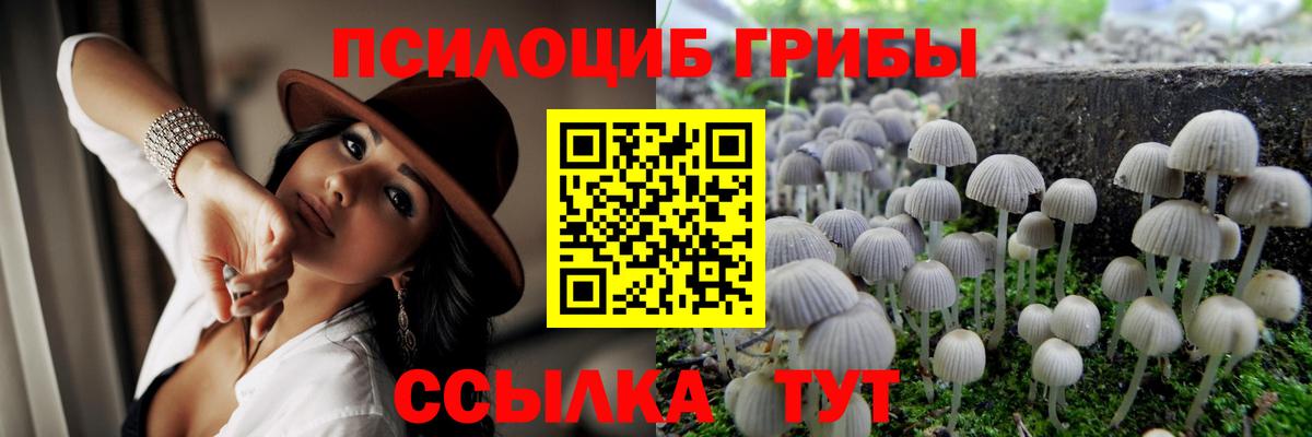 Галлюциногенные грибы ЛСД  Вход с VPN  Октябрьский 